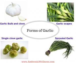 GarlicForms