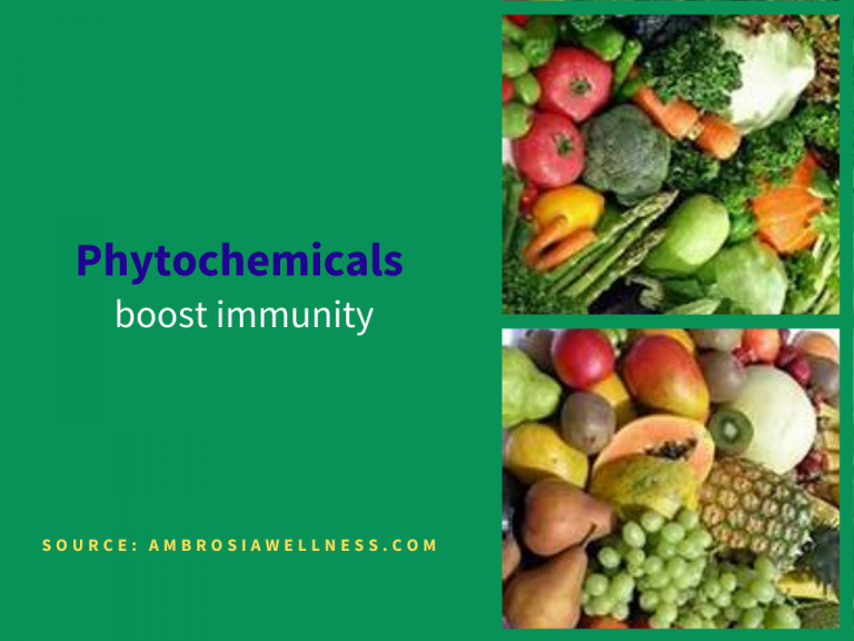 Phytochemicals Or Bioactives Are Antioxidants That Boost Immunity